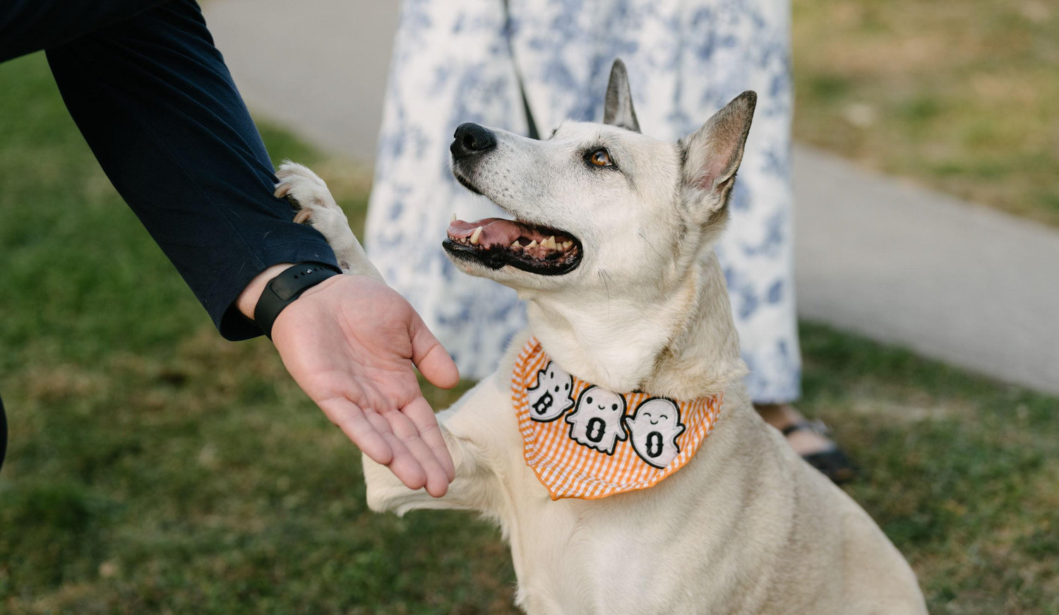 The Wedding Website of Caitlin Biesma and Patrick Budziak