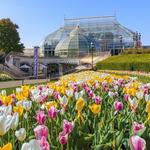 Phipps Conservatory and Botanical Gardens