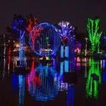 ZooLights