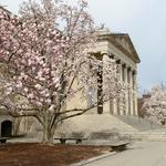 Baltimore Museum of Art