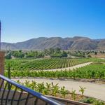 Fazeli Cellars Winery