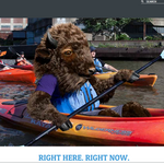 Visit Buffalo & Niagara Falls, NY - Restaurants, Events, Things to Do