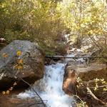 Seven Bridges Trail