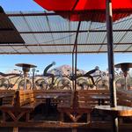 O.H.S.O. Eatery & nano-Brewery