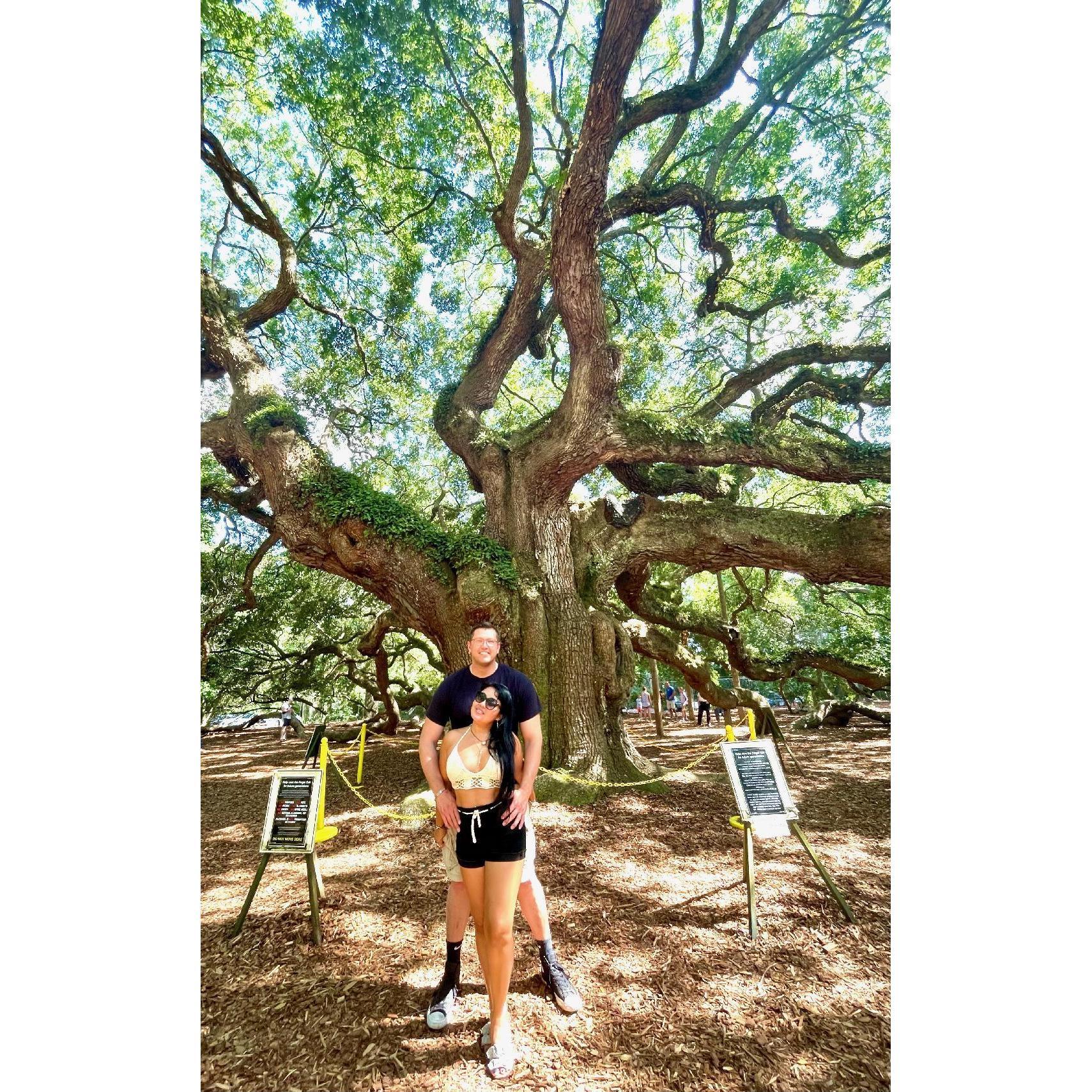 This tree is one of the oldest tree we have ever seen and they say if you kiss under this tree your love will be eternal...