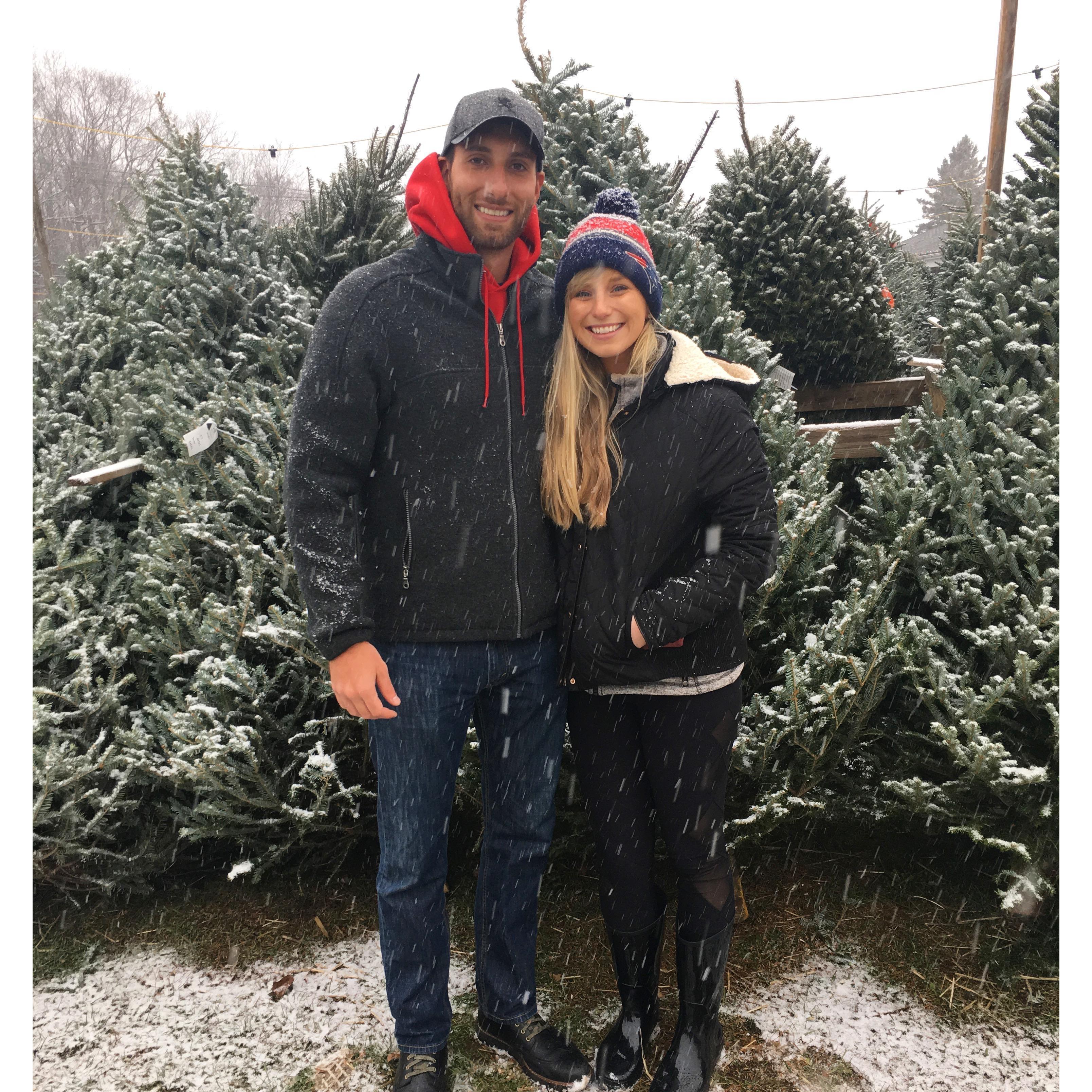 Picking out our Christmas Tree
