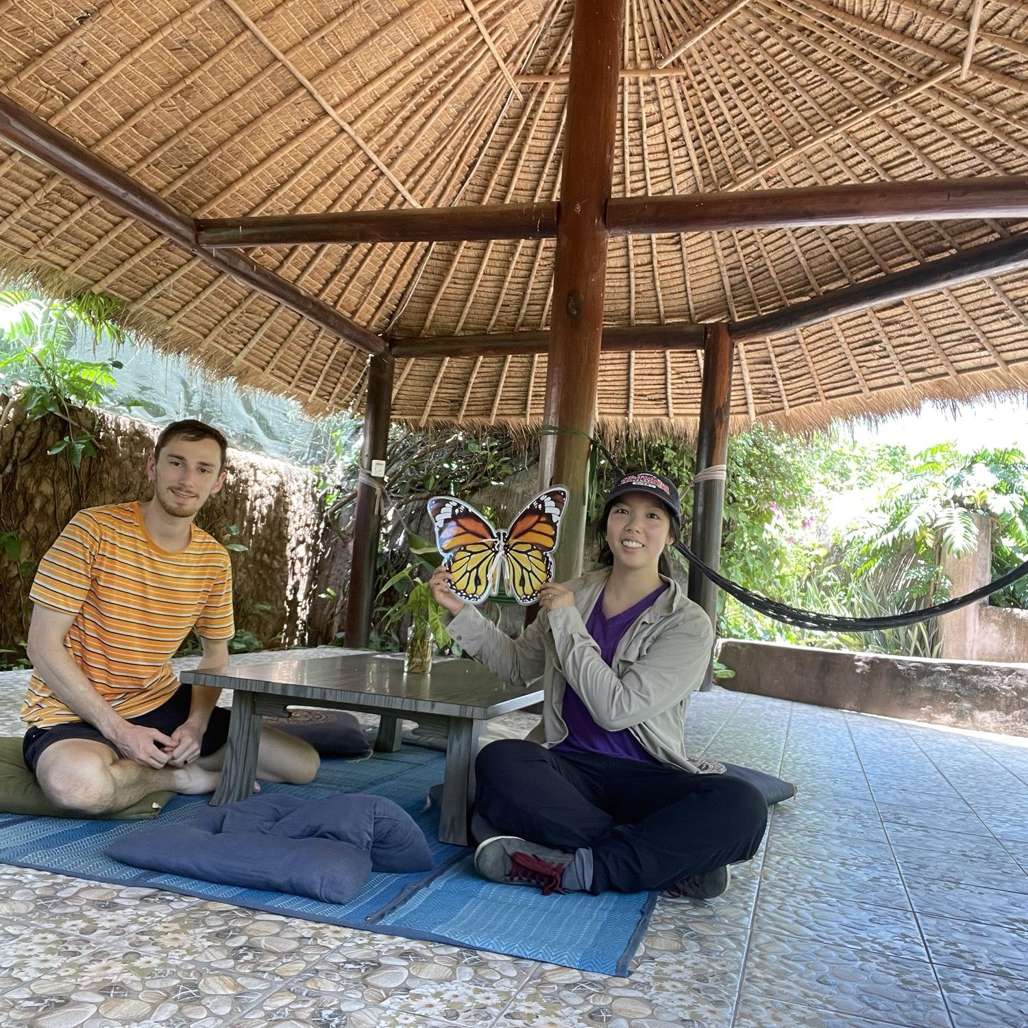 Cambodian butterfly sanctuary