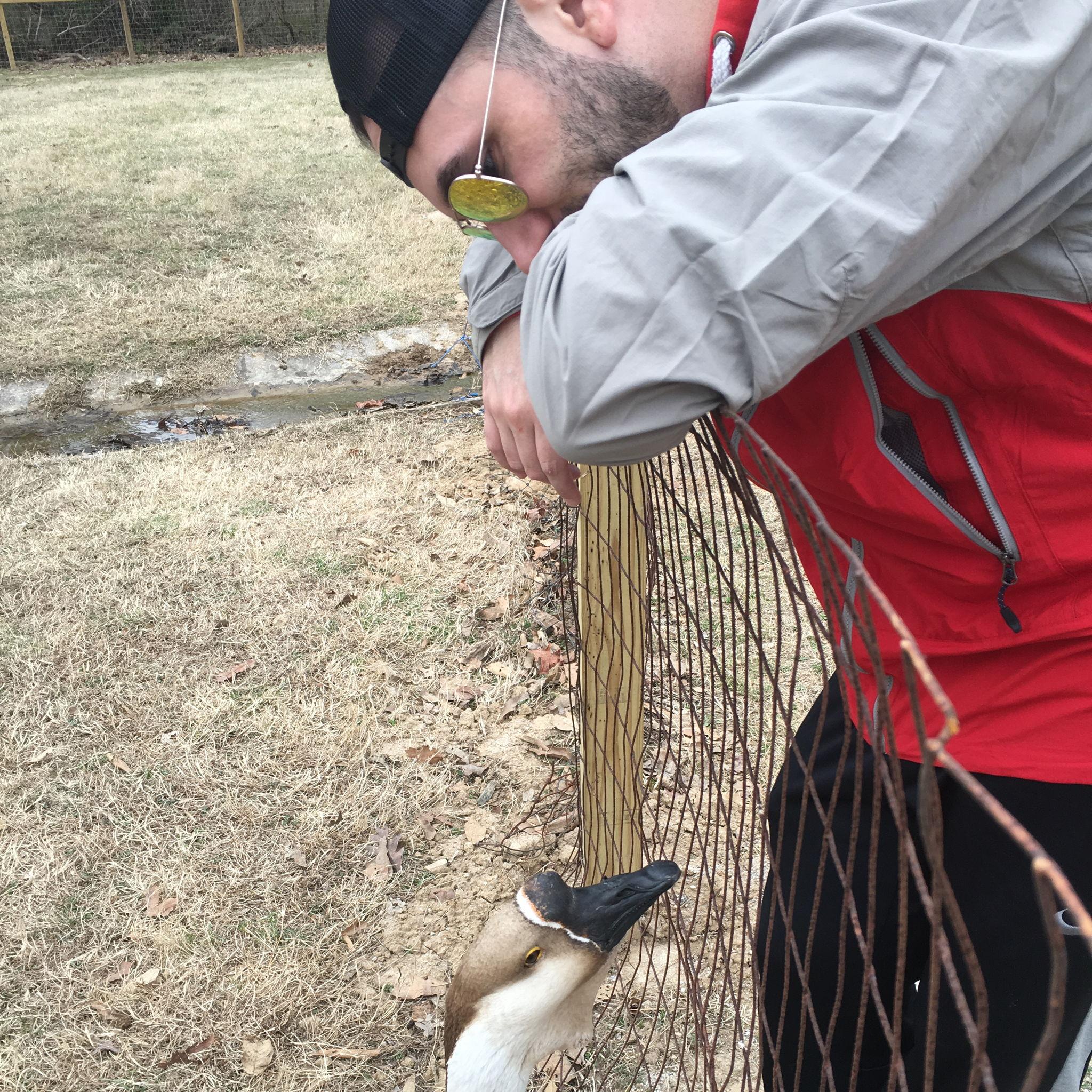 Did you know our fist date was brunch and then the Soulard Pet Parade? This is a pic from our first date! February 2017.