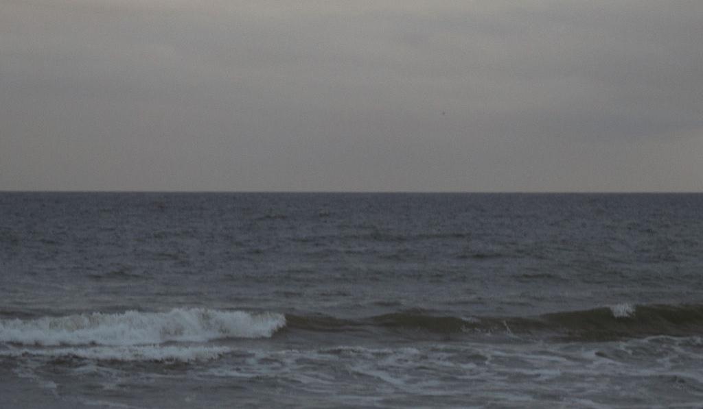 Footer image