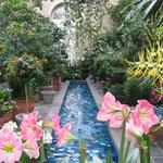 United States Botanic Garden