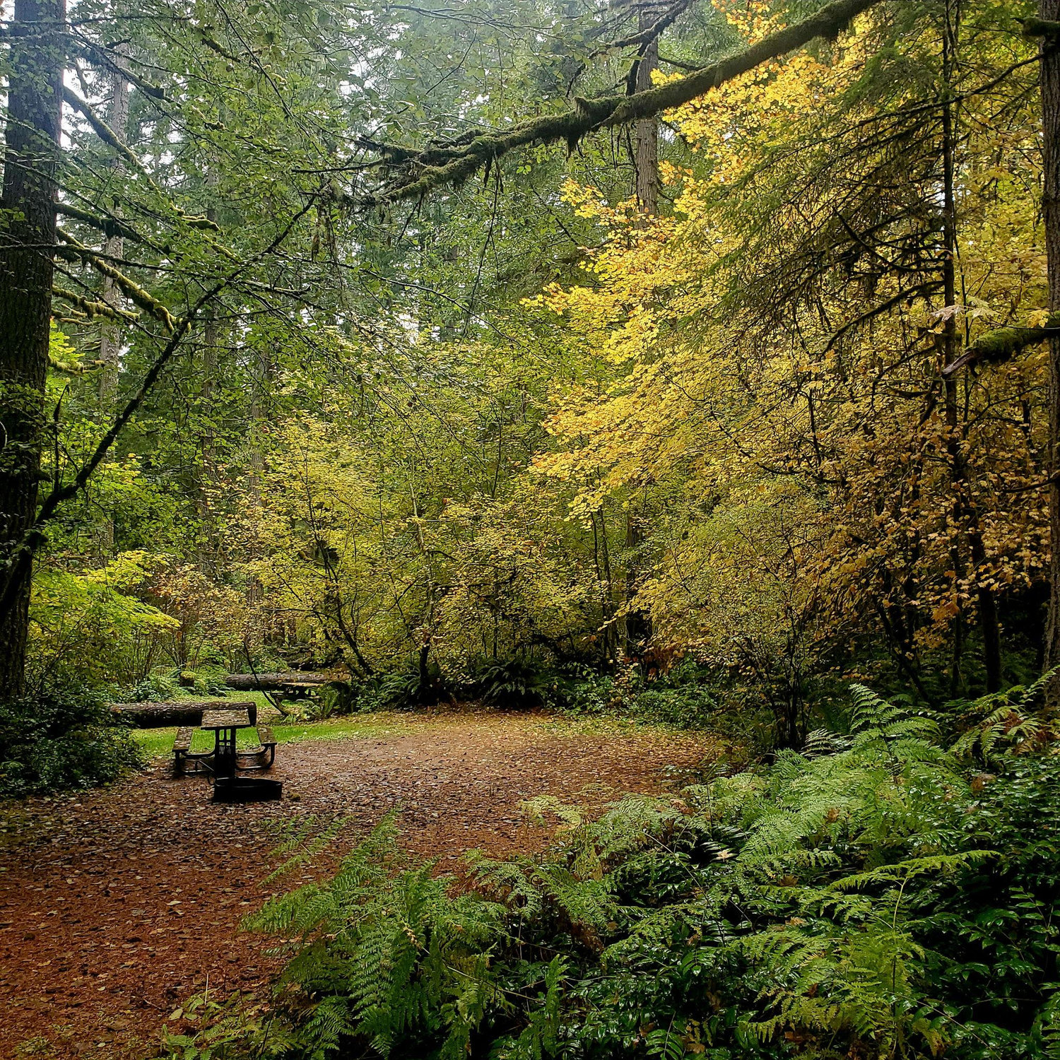 This is one of the camp sites. There are many of varying sizes.