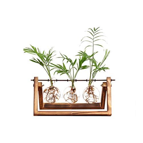 Ivolador Desktop Glass Planter Bulb Vase with Retro Solid Wooden Stand and Metal Swivel Holder for Hydroponics Plants Home Garden Wedding Decor (3 Bulb Vase)