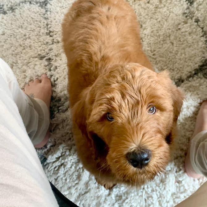 When Moosey came home for the first time