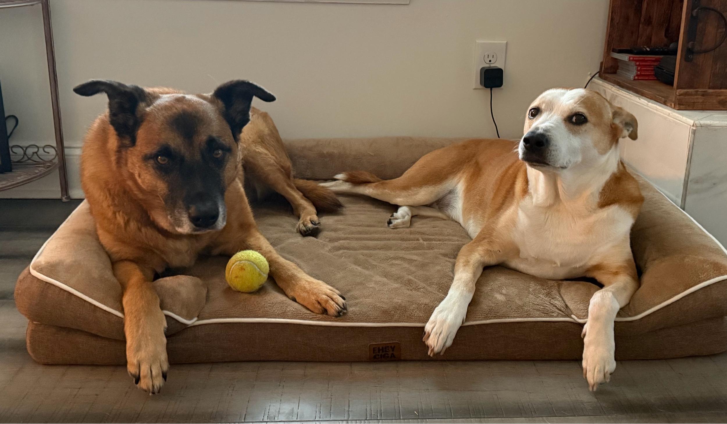 The Wedding Website of Emma Cizek and Jeremy Bramow