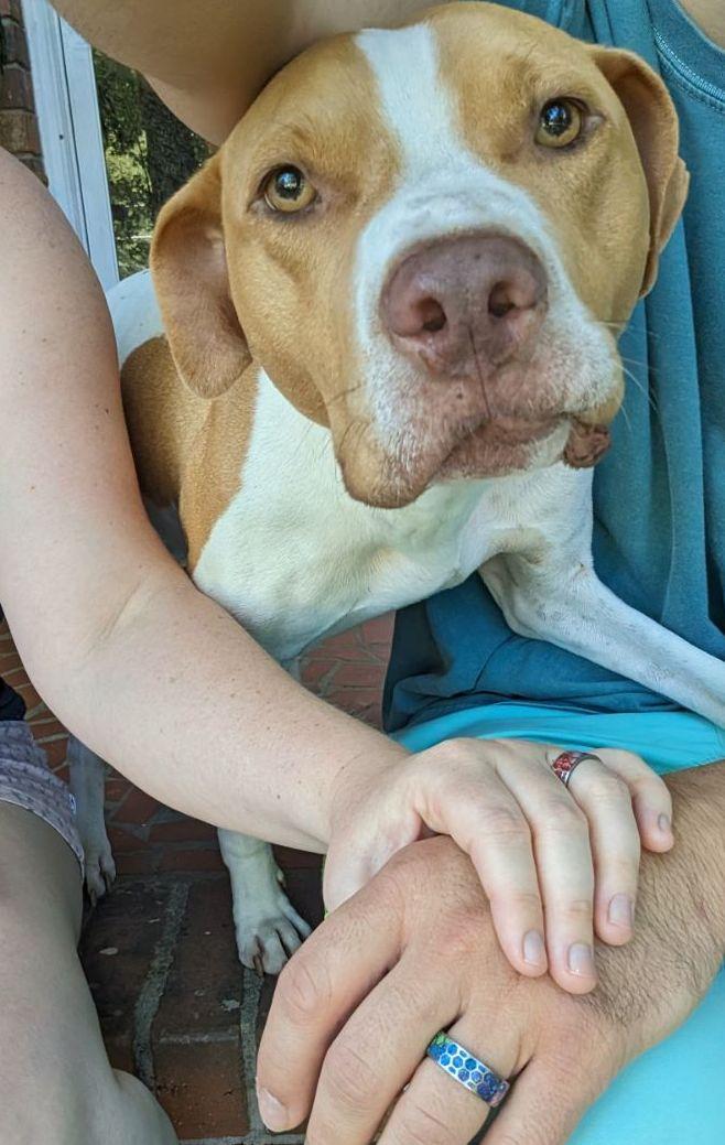 The Wedding Website of Alexandra Gant and Christopher Pytelewski