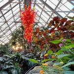 Franklin Park Conservatory and Botanical Gardens
