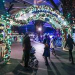 Christmas at the Zoo by the Indianapolis Zoo