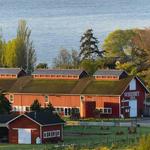 Greenbank Farm