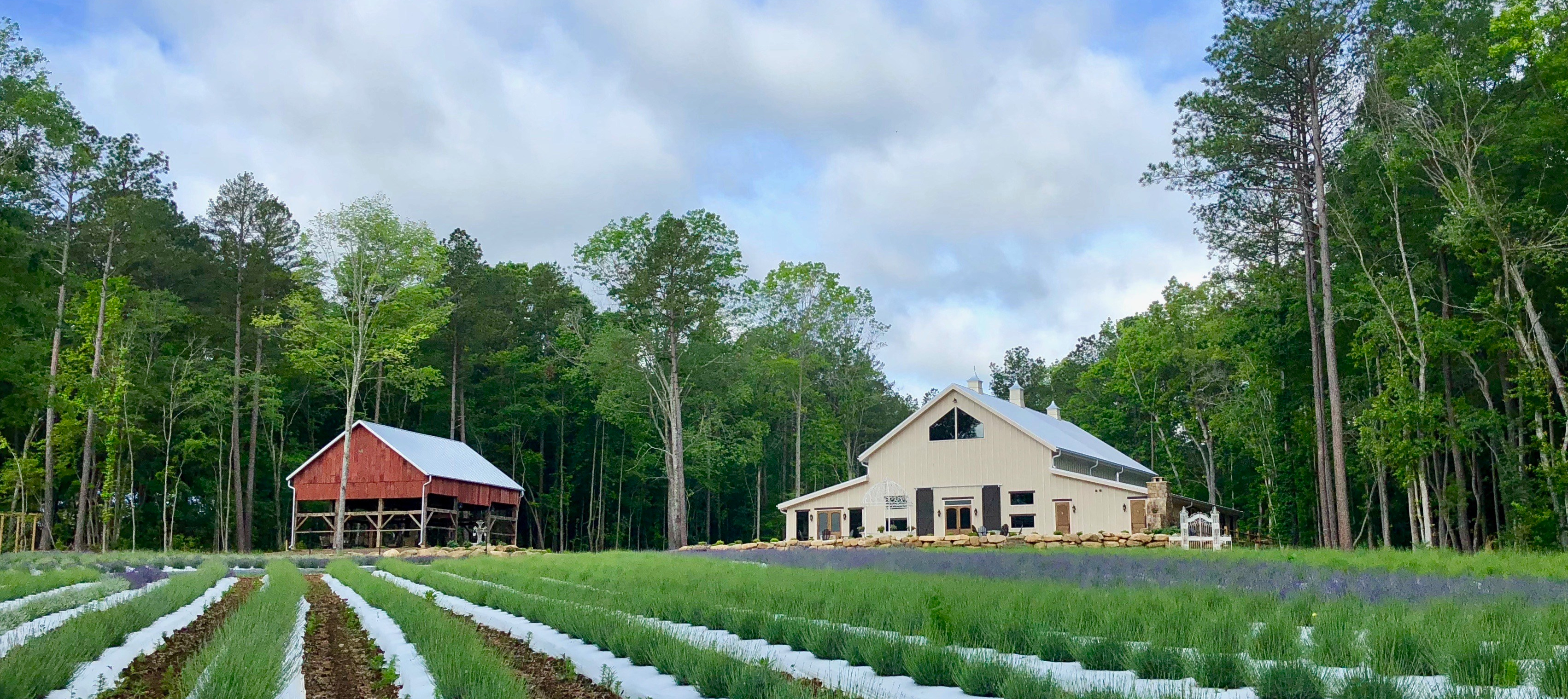 The Wedding Website of Caitlin Daugherty and Dylan Sikora