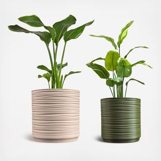 Flo Ripple 2-Piece 3D Printed Planter Set