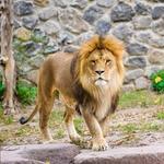 Zoo Atlanta