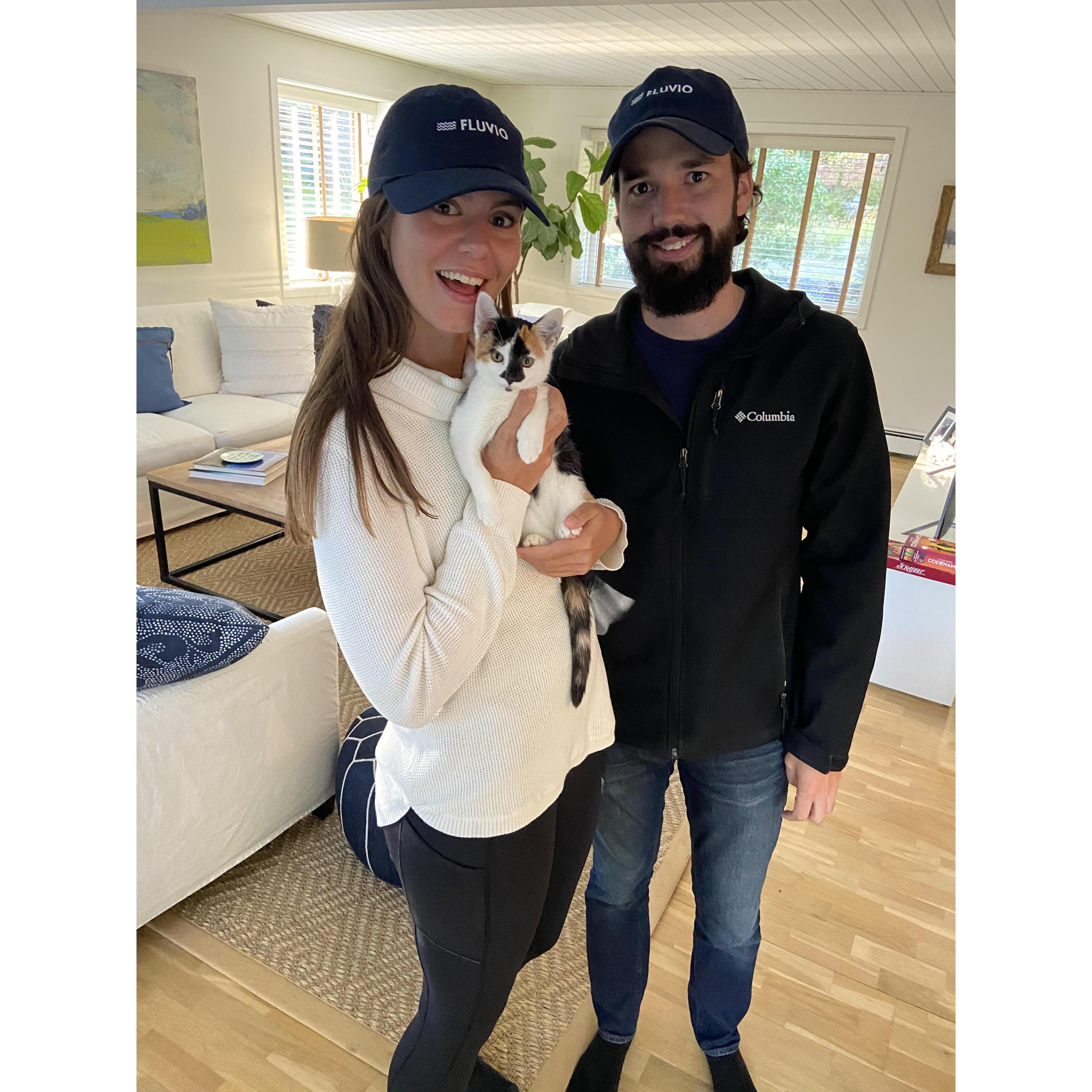 New company, new kitten