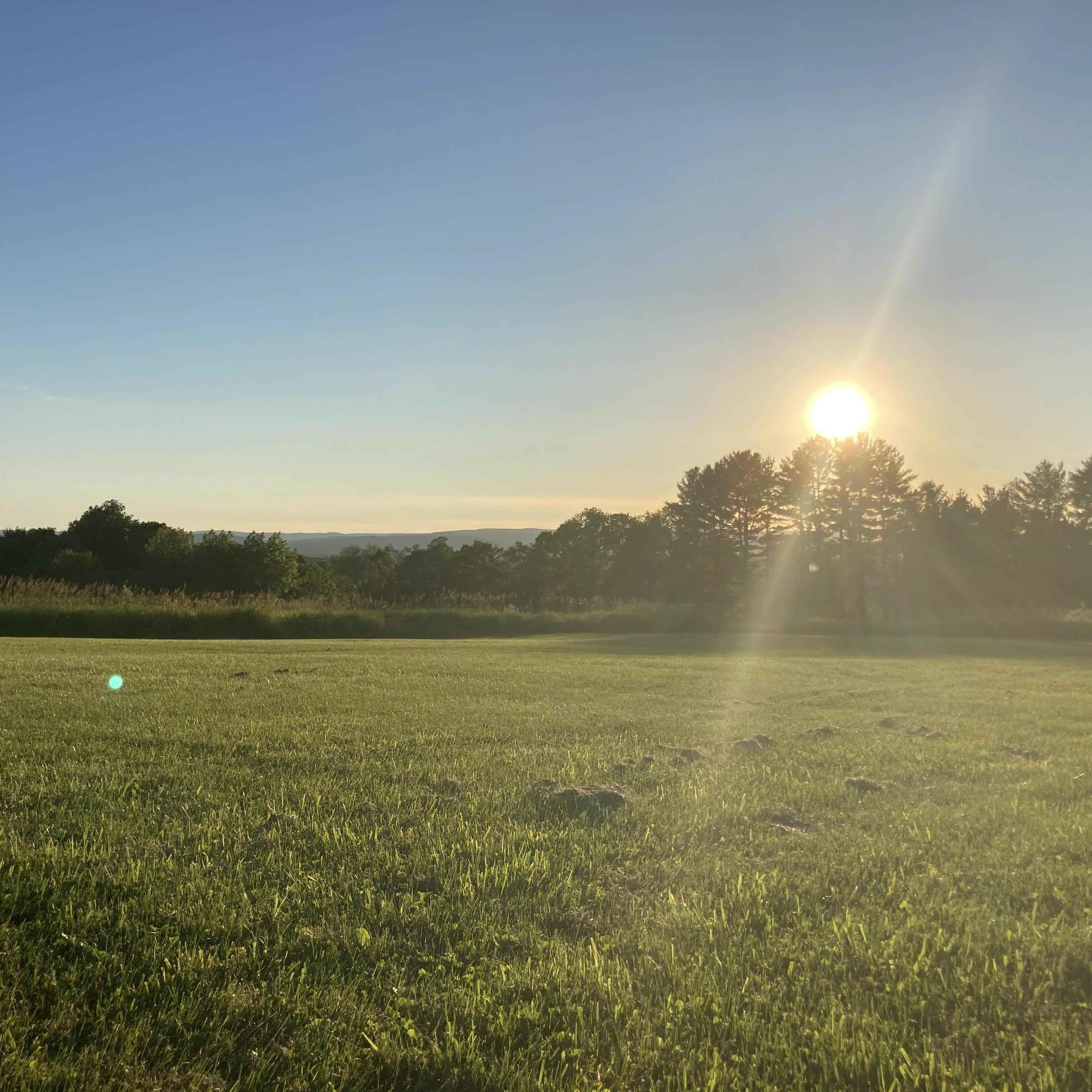 One of our favorite spots to catch a summer sunset with some boba tea