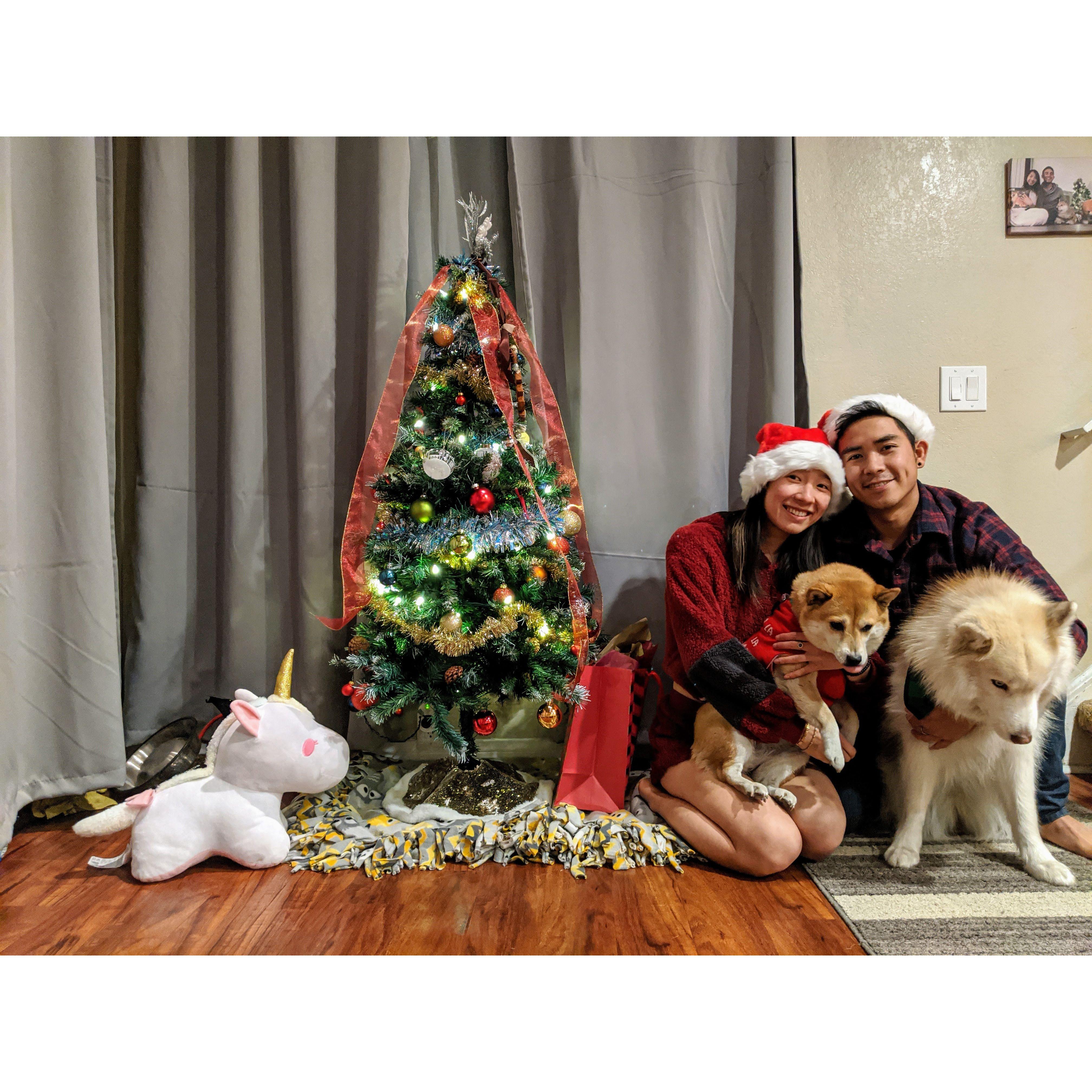Our little family holiday photos sometimes turn out okay. Christmas 2019