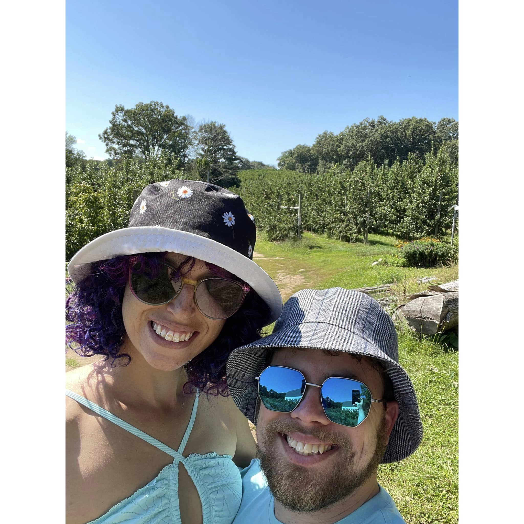 Apple Picking