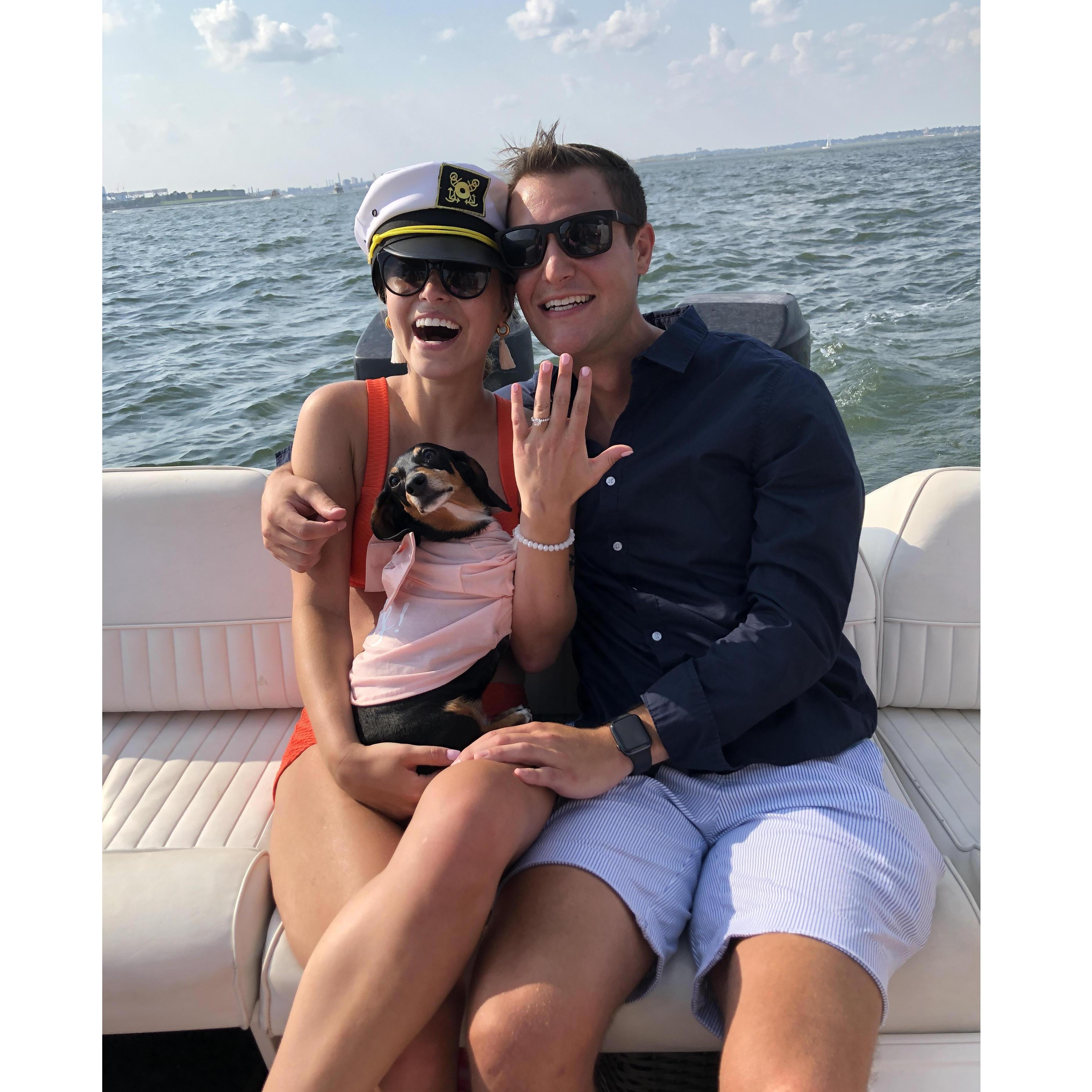 Even Lady made it aboard for the proposal!