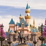 Disneyland Theme Park