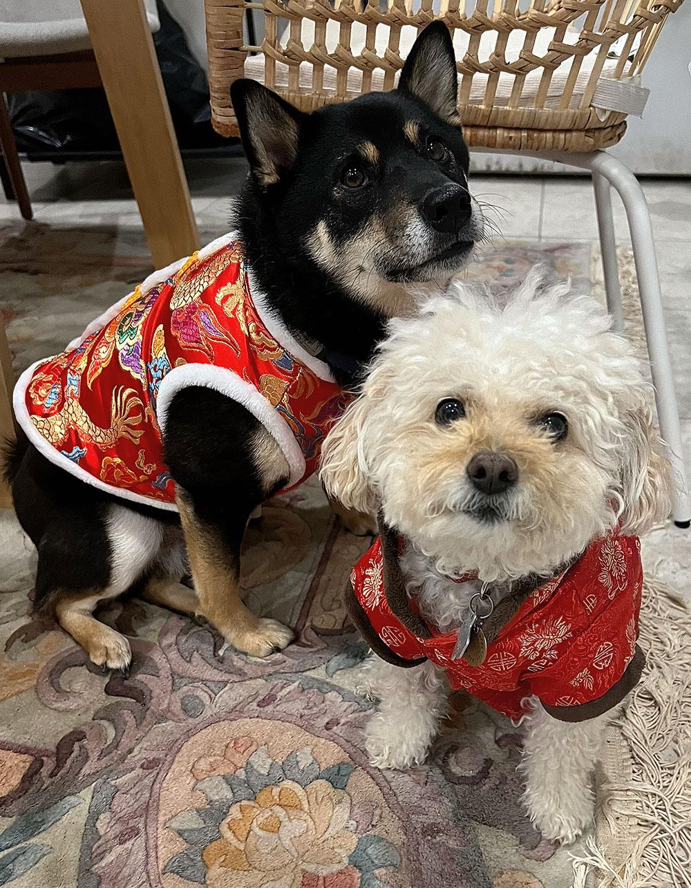 ebdd156e-7a01-450d-86a6-13322650762a