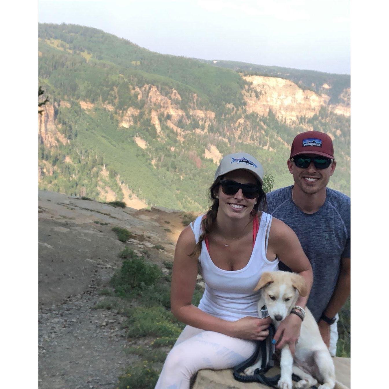 Hiking with Ellis