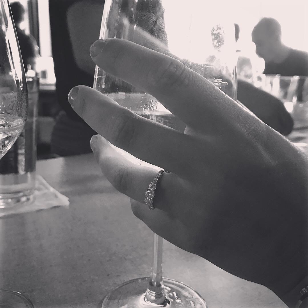 Engagement Celebration, August 2017, Raleigh, NC