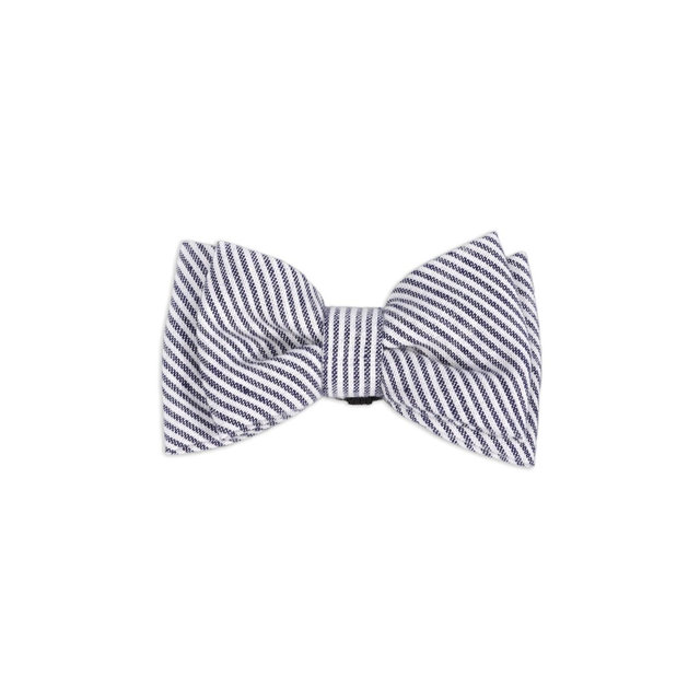 Collar Slide Stripe Bow Tie Dog Accessories - M/L - Boots & Barkley™