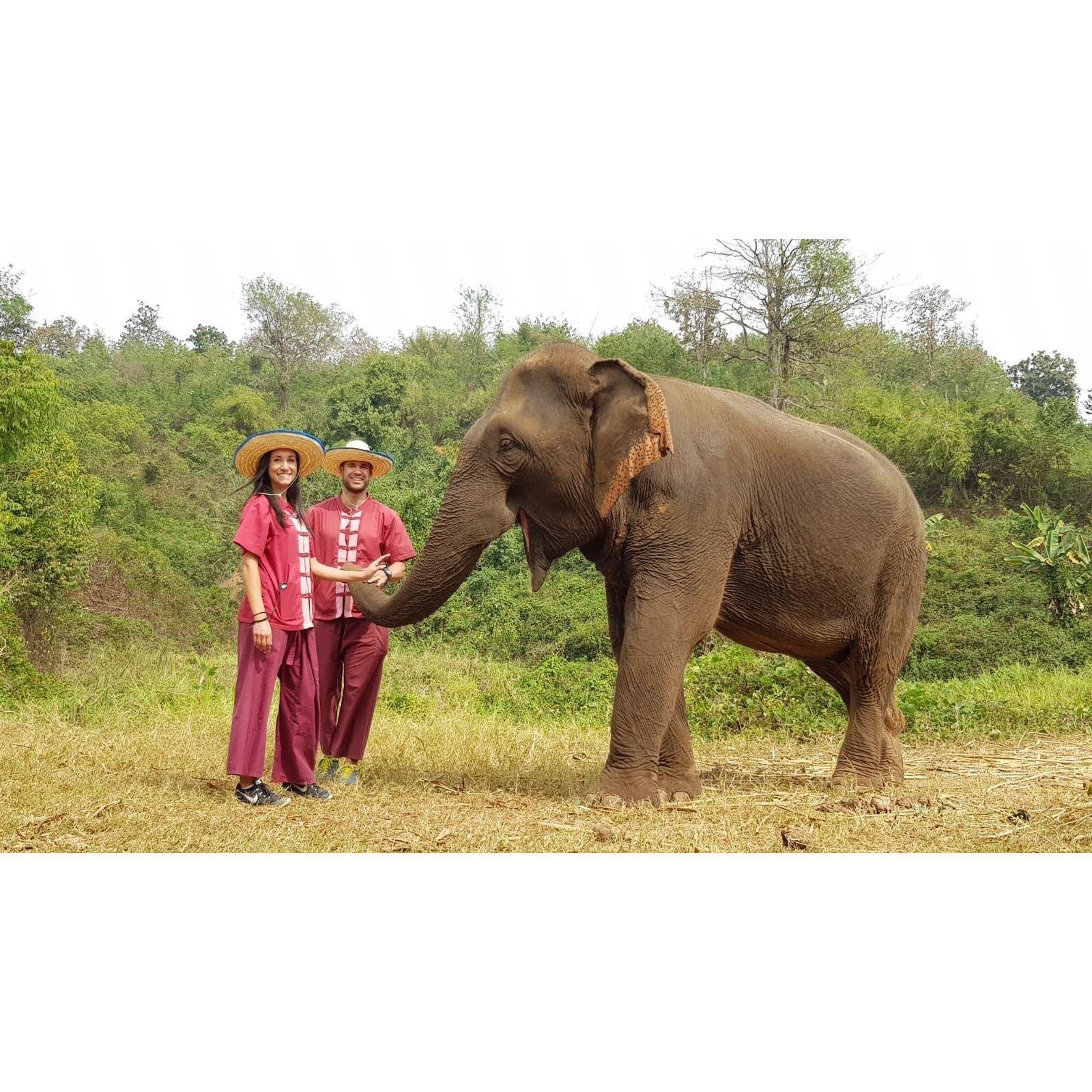 The most amazing day we spent with four rescued elephants in Chiang Mai.