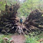Extended Trip Ideas