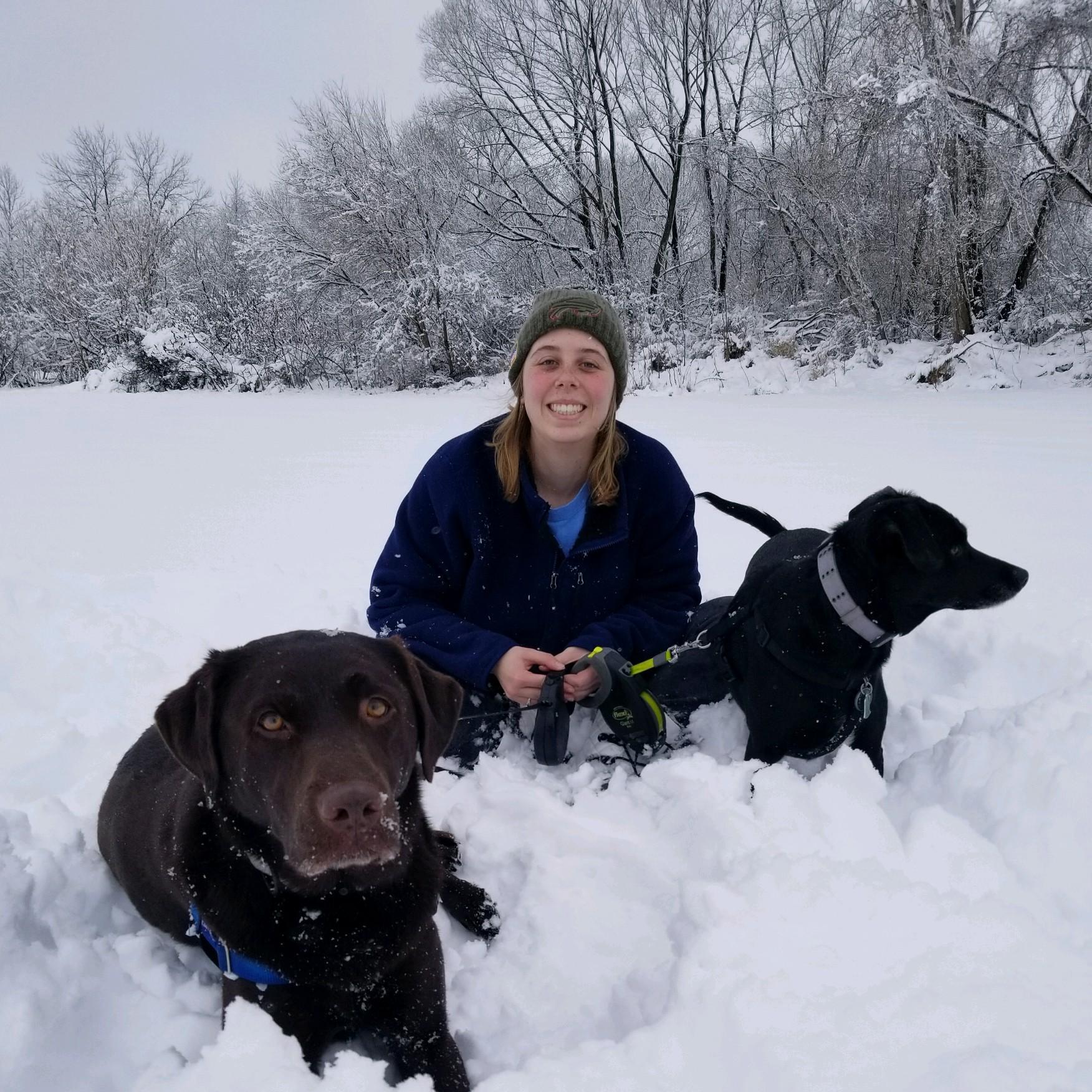 This is still one of my favorite days. We went on a walk for the dogs and let them run through the snow covered field. Jack nearly disappeared in the snow, and Tucker chased snow balls.