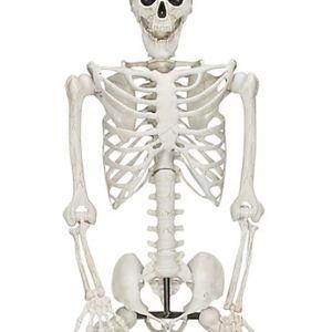 Haunted Living 10-ft Freestanding Poseable Skeleton Yard decoration