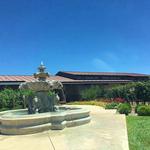 Vincent Vineyards & Winery