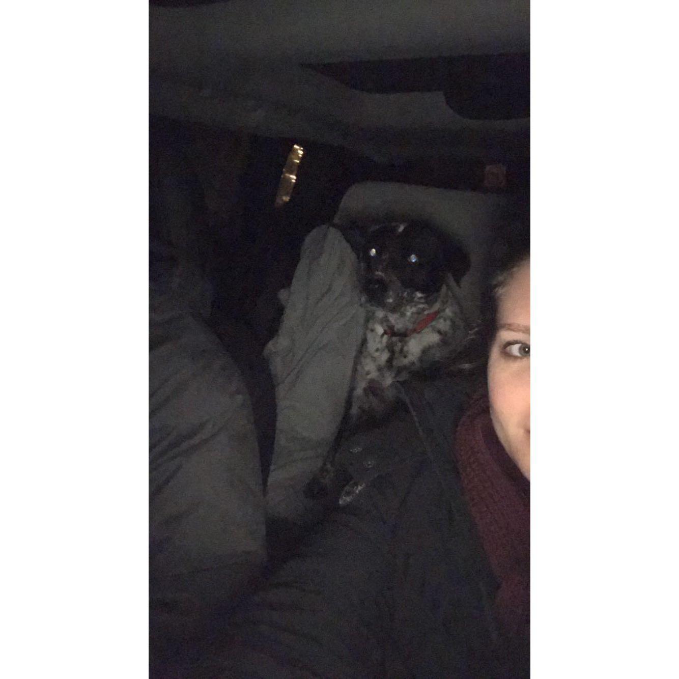 December 2018 - Picking Up and Adopting Lola Rose Gilmore from Portland, ME