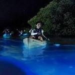 BioBay Fajardo