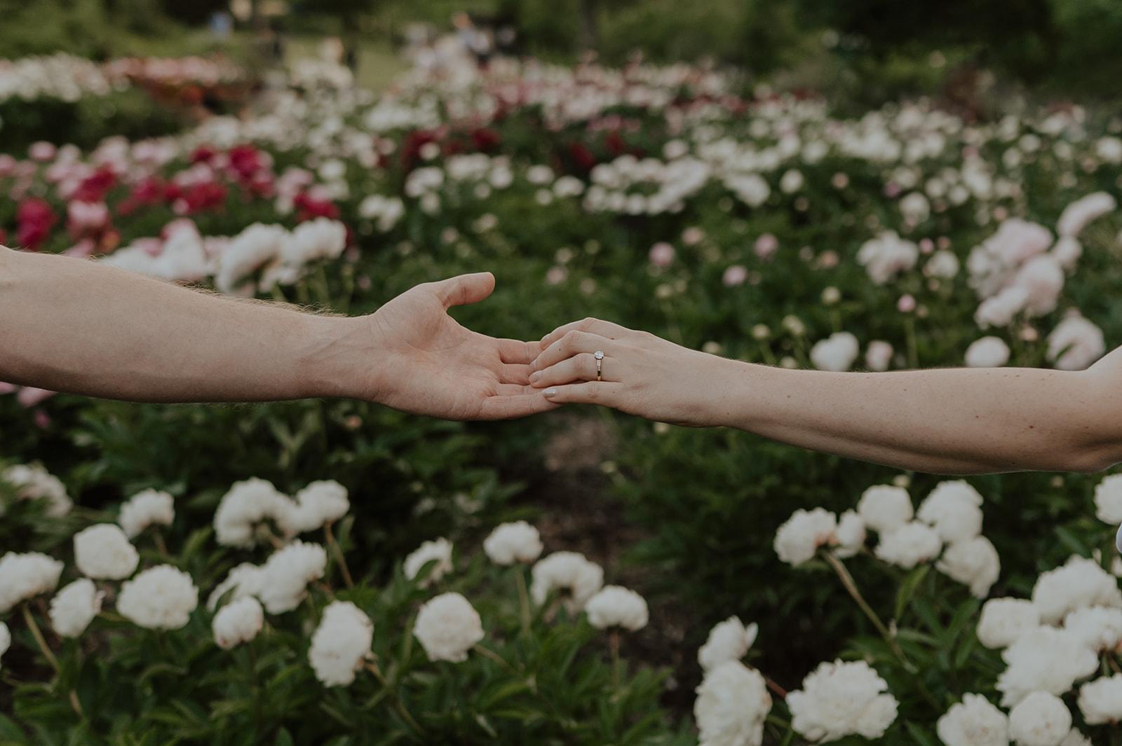 The Wedding Website of Nicole Ethen and Christian Bach