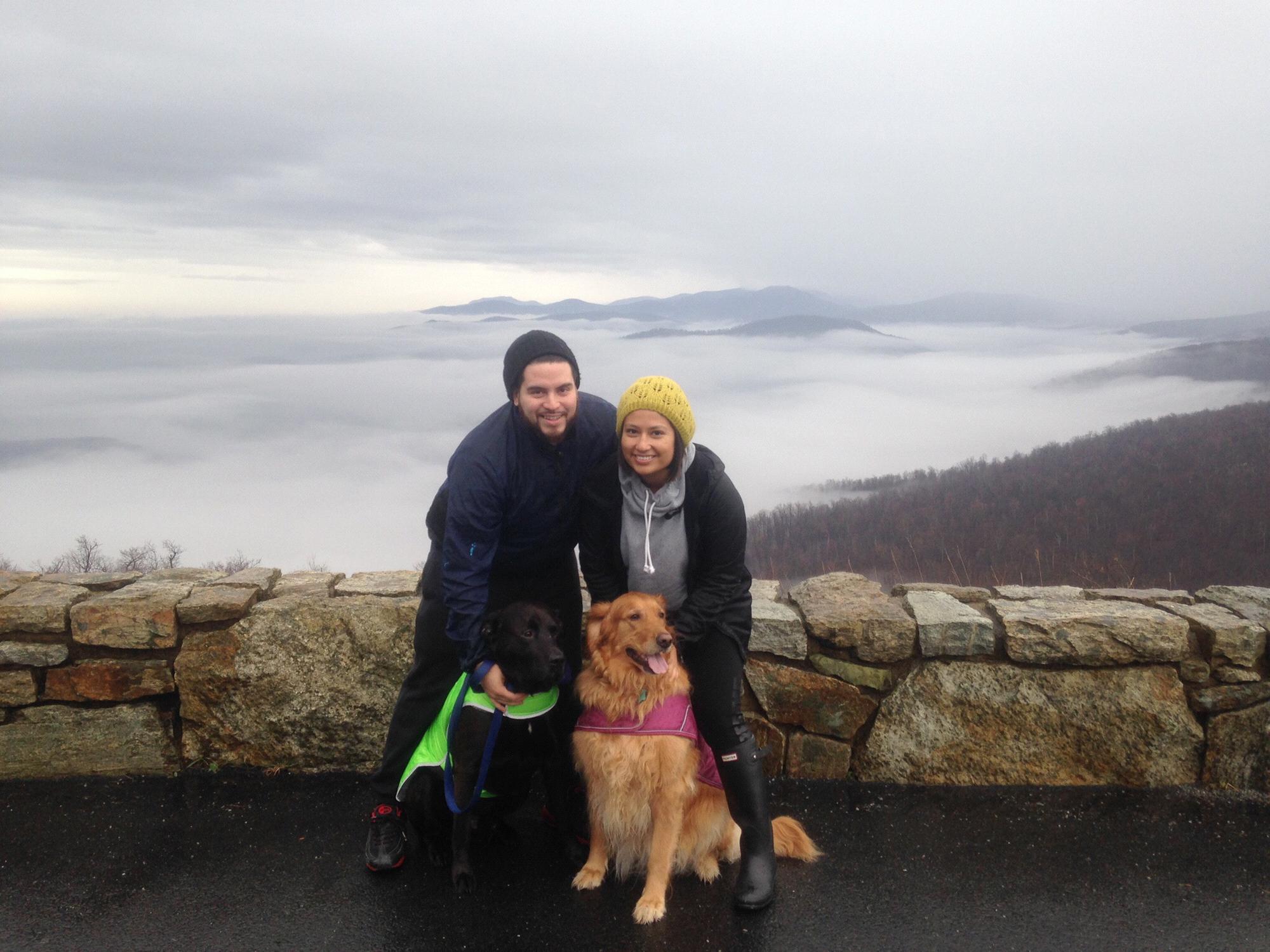 VA - Winter 2014
