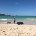 Kailua Beach
