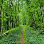 Rochester Hollow Trailhead