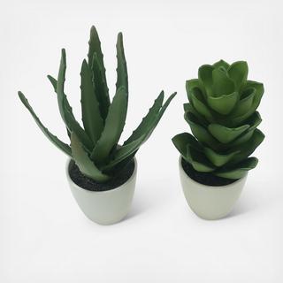 Potted Faux Aloe and Faux Jasmine Plants