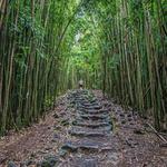 Pipiwai Trail