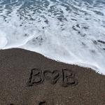Black Sands Beach
