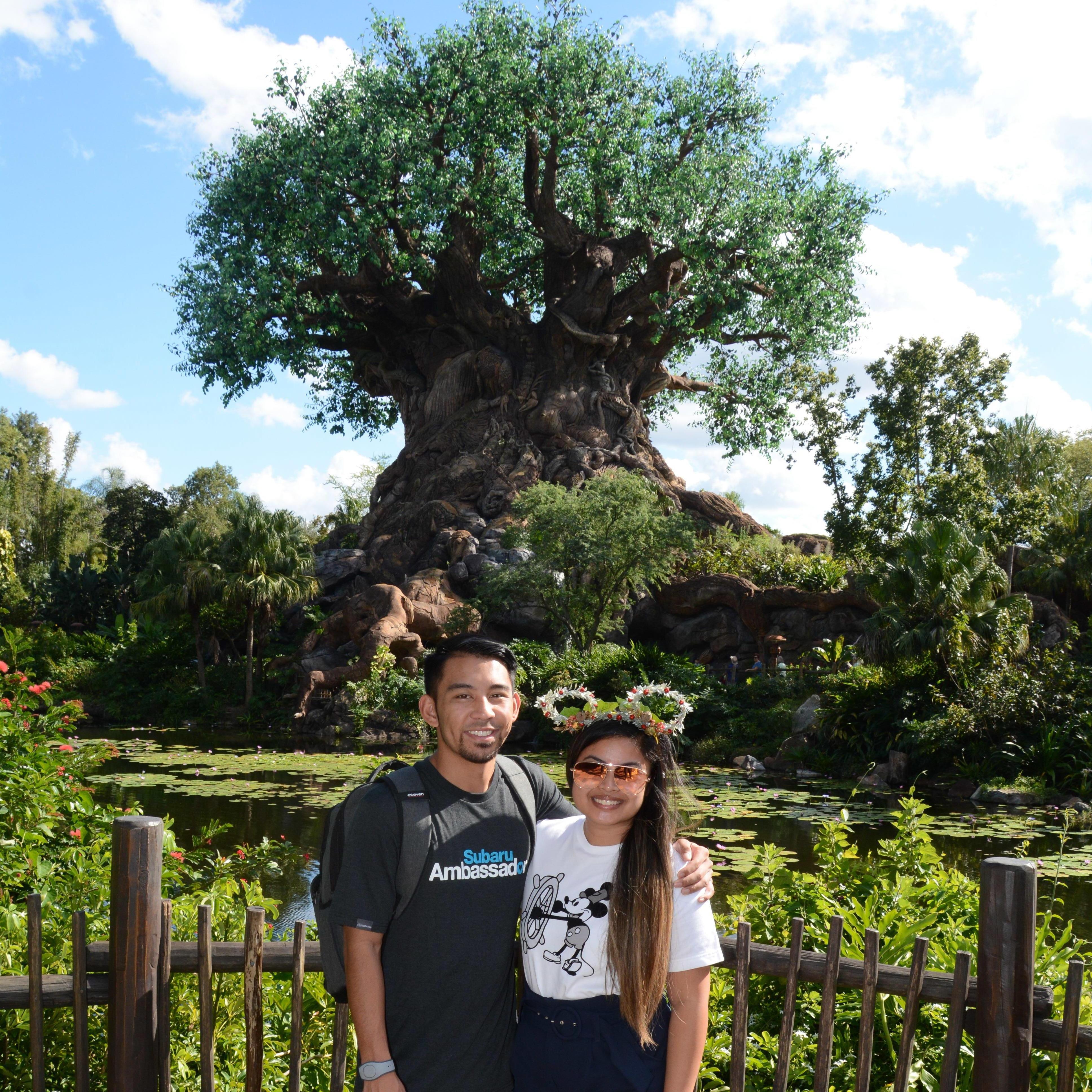 Tree of Life, Christmas 2018